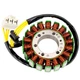 Stator for Kawasaki Z1000 2007-2016 ZX1000 NINJA 1000 Z1000SX 11-16 Z800 13-16 Stator for Kawasaki Z1000 2007-2016 ZX1000 NINJA 1000 Z1000SX 11-16 Z800 13-16