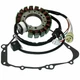 Stator & Gasket for Yamaha Grizzly 600 YFM600F 1999 2000 ATV New Stator & Gasket for Yamaha Grizzly 600 YFM600F 1999 2000 ATV New