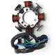 For Yamaha Alternator Magneto Stator 1C6-H1410-00 TTR230 TT-R230 2005-2017