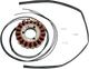 RICK'S MOTORSPORT ELECTRIC Suzuki Stator OEM Part Number 32101-38F00 RICK'S MOTORSPORT ELECTRIC Suzuki Stator OEM Part Number 32101-38F00