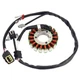 Stator Coil for 3D7-81410-01-00 Yamaha WR250R WR250X 2007-2017 3D7-81410-00-00 Stator Coil for 3D7-81410-01-00 Yamaha WR250R WR250X 2007-2017 3D7-81410-00-00