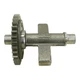 2005 YAMAHA TTR250 CRANKSHAFT BALANCER 4GY-11454-00-00 2005 YAMAHA TTR250 CRANKSHAFT BALANCER 4GY-11454-00-00