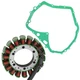 Stator Gasket For Suzuki LTF400 LT-F400F Eiger 400 Manual 2X4 4X4 2002-2007 Stator Gasket For Suzuki LTF400 LT-F400F Eiger 400 Manual 2X4 4X4 2002-2007