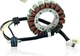 Magneto Ignition Stator Fits Arctic Cat 375 400 RM23035-R00 32101-38F00 Magneto Ignition Stator Fits Arctic Cat 375 400 RM23035-R00 32101-38F00
