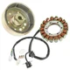 Stator Flywheel Rotor For Suzuki LT-F400 LTF400F Eiger 400 2x4 4x4 2002-2007 Stator Flywheel Rotor For Suzuki LT-F400 LTF400F Eiger 400 2x4 4x4 2002-2007
