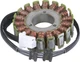 RICKS STATOR FITS SUZUKI 21-332