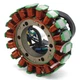 Stator Coil for Suzuki 2002-2007 32101-38F00 LTA400 Eiger Auto LTF400 Eiger 2WD Stator Coil for Suzuki 2002-2007 32101-38F00 LTA400 Eiger Auto LTF400 Eiger 2WD