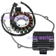 Stator Rectifier And Gasket for Kawasaki Ninja 1000 ZX1000/ Z1000SX ZX1000 11-16 Stator Rectifier And Gasket for Kawasaki Ninja 1000 ZX1000/ Z1000SX ZX1000 11-16