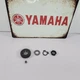 2005 1996-2006 YAMAHA TTR 250 TTR250 Crankshaft Primary Drive Gear OEM 2005 1996-2006 YAMAHA TTR 250 TTR250 Crankshaft Primary Drive Gear OEM
