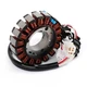 Stator Generator Fit Yamaha 125 150 YZF R15 R125 MT125 14-19 WR125R/X 09-14 h1 Stator Generator Fit Yamaha 125 150 YZF R15 R125 MT125 14-19 WR125R/X 09-14 h1