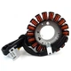 Stator Coil For Honda CB250 JADE250 1991-1994 31120-KAZ-003 31120-KAZ-781 Stator Coil For Honda CB250 JADE250 1991-1994 31120-KAZ-003 31120-KAZ-781