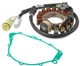 Magneto Stator and Gasket For 99-01 Yamaha Grizzly 600 YFM600 4WV-15451-00-00 Magneto Stator and Gasket For 99-01 Yamaha Grizzly 600 YFM600 4WV-15451-00-00
