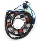 Magneto Generator Stator Coil for Yamaha TTR230 1C6-H1410-00 2005-2017 TT-R230