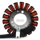 Stator Coil For Honda CBR250 CBR250RR 1994-1996 CBR250 CBR250RR MC22 1990-1994 Stator Coil For Honda CBR250 CBR250RR 1994-1996 CBR250 CBR250RR MC22 1990-1994