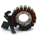 Stator Coil for Kawasaki Z1000SX ZX1000 NINJA 1000 2011-16 Z1000 ZR1000 2007-16 Stator Coil for Kawasaki Z1000SX ZX1000 NINJA 1000 2011-16 Z1000 ZR1000 2007-16