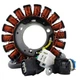 RMS010-107231 RMSTATOR Stator for Motorcycle Alternators and Generators RMS010-107231 RMSTATOR Stator for Motorcycle Alternators and Generators