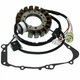 Stator & Gasket for Yamaha Grizzly 600 YFM600F 1999 2000 ATV New Stator & Gasket for Yamaha Grizzly 600 YFM600F 1999 2000 ATV New