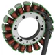 Stator for Suzuki 400 LTA400 LT-A400 4X4 Eiger 2002 2003 2004 2005 2006 2007 ATV Stator for Suzuki 400 LTA400 LT-A400 4X4 Eiger 2002 2003 2004 2005 2006 2007 ATV