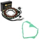 Stator & Stator Gasket for Suzuki LT-A400 Eiger 400 2X4 Auto 2002-2007 Stator & Stator Gasket for Suzuki LT-A400 Eiger 400 2X4 Auto 2002-2007