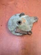 suzuki ts185 tc185 rear back brake panel plate hub tc125 1971 1972 1973 1974 suzuki ts185 tc185 rear back brake panel plate hub tc125 1971 1972 1973 1974