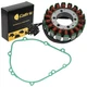Stator Gasket For Kawasaki Ninja 1000 ZX1000 ZX1000G ZX1000H ZX1000M Abs 2011-16 Stator Gasket For Kawasaki Ninja 1000 ZX1000 ZX1000G ZX1000H ZX1000M Abs 2011-16