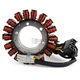 Stator Coil For Honda NC750 Integra 750 2014-2020 NC750 NC750S DCT 2014-2017 Stator Coil For Honda NC750 Integra 750 2014-2020 NC750 NC750S DCT 2014-2017